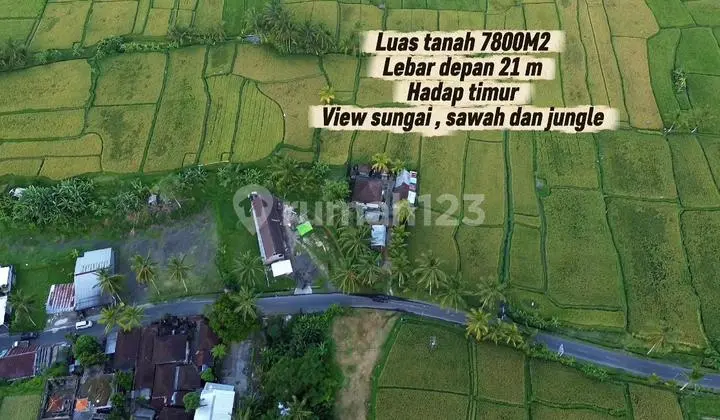 Sell Land – Payangan Location