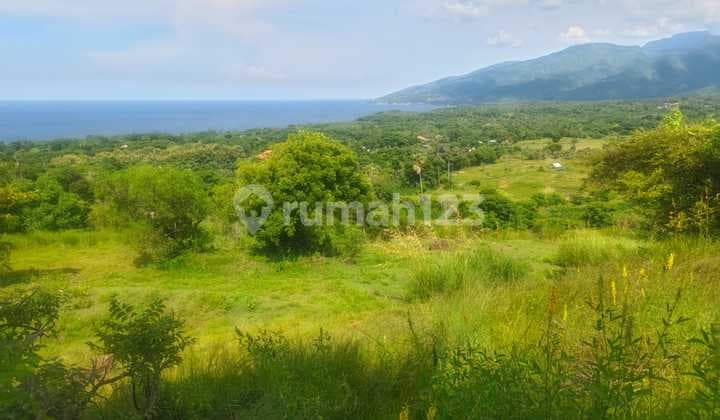 Land for Sale in Datah Location