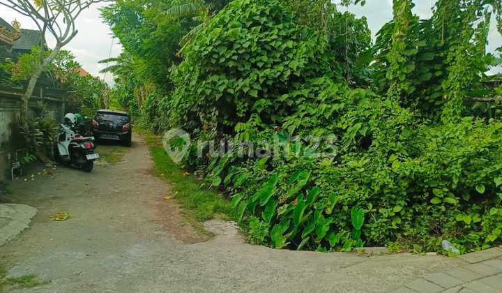 Land for Sale in Penatih Location