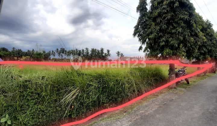 Land for Sale in Lodtunduh Location