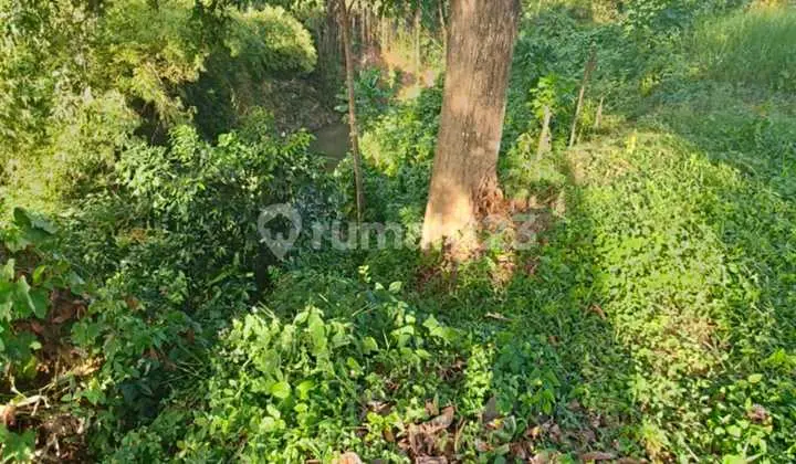 Land for Sale Location Siulan