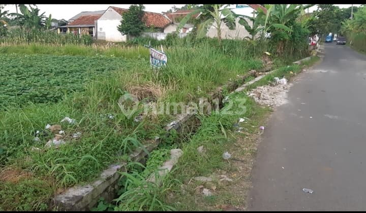 Turun Harga Dijual Sebidang Tanah Darat Pinggir Jalan Desa Petir Akses Truck Doble Engkel