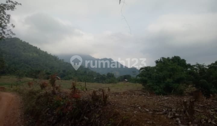 Dijual tanah murah di Cariu Jonggol Bogor sudah ada beberapa komplek disekitar