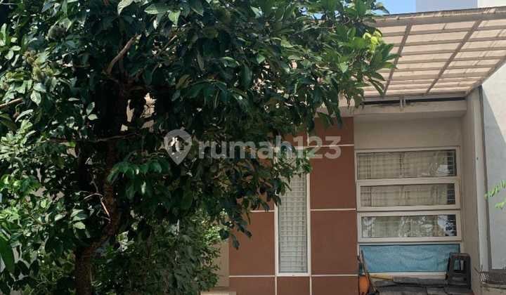 Dijual Rumah Cluster Pakuan Hill Tajur Bogor