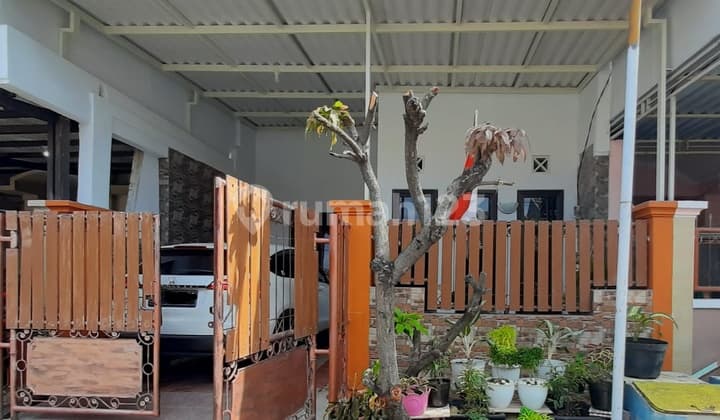 Rumah Bagus Siap Huni Di Perumahan Ykp Penjaringan Rungkut Surabaya, Dekat Pandugo, Nirwana Eksekutif Executive, Pondok Nirwana, Medokan Ayu, Medayu, Wiguna, Taman Rivera, Amesta, Gunung Anyar Gununganyar, Kedung Baruk, Wisma Kedung Asem, Rungkut Asri