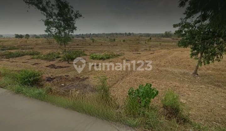 Tanah Industri Raya Brayublandong Dekat Jetis Mojokerto