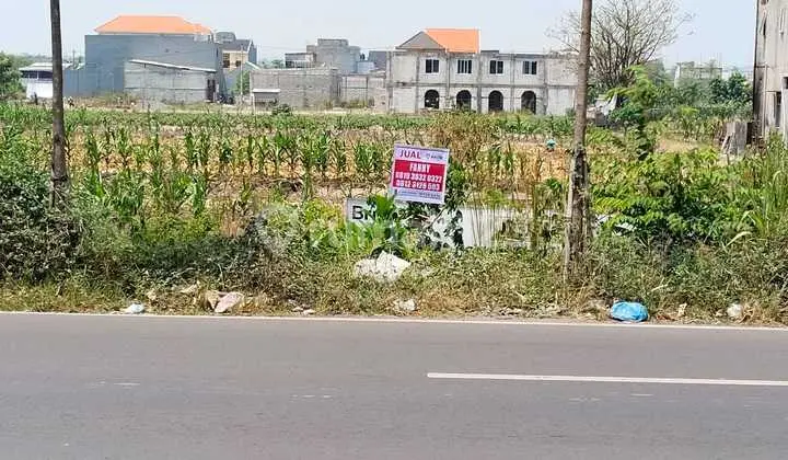 Tanah di Raya Menganti Domas Gresik