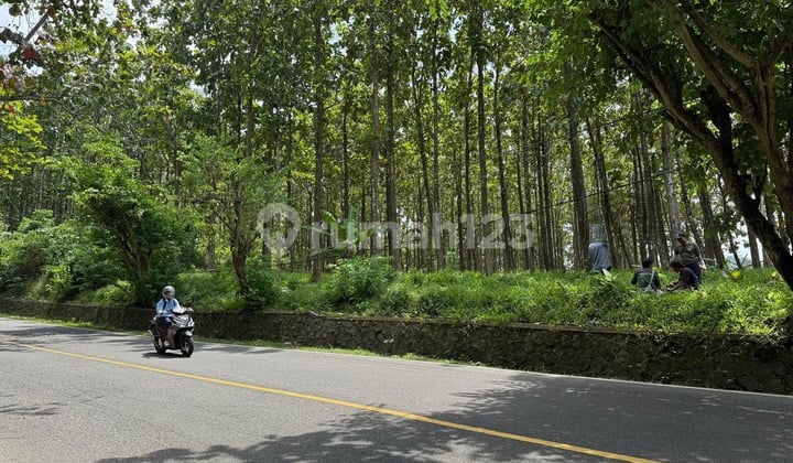 Tanah Luas di Pelabuhan Ratu, Sukabumi. Jawa Barat