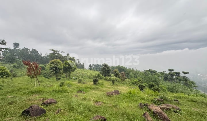 Premium Land for Sale - Gunung Bunder 2