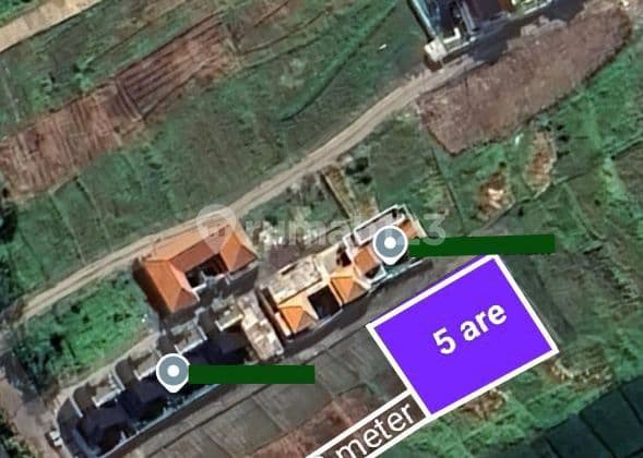 Exlusive Pink Zone Land For Lease In Seseh Munggu