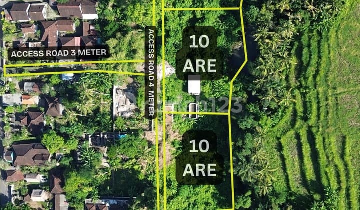 Tanah Rice Field View And River View In Singapadu Gianyar Near Ubud