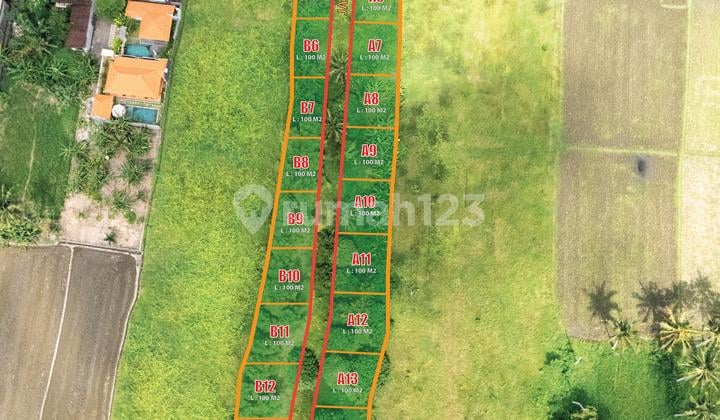 Tanah Sewa Kavling Rice Field View In Ubud