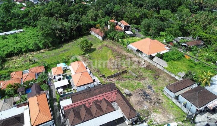 Premium Land on Main Road Cepaka Munggu