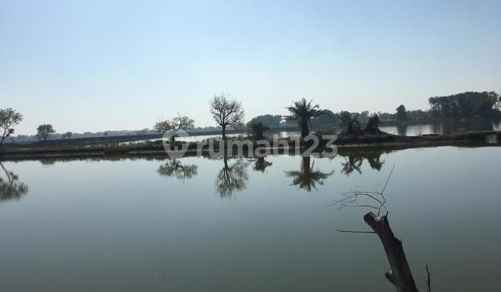 Tanah Tambak Udang dan Bandeng Dijual di Tlocor Jabon Sidoarjo Murah SHM