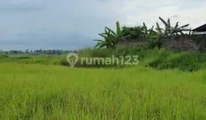 Land for Sale 0 Jalan Raya Leker Rejo, Dadap Kuning Village, Gresik