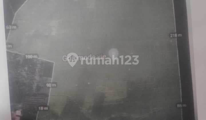 Tanah Dijual di Desa Kartoharjo Ngawi SHM Dekat Dengan Exit Tol