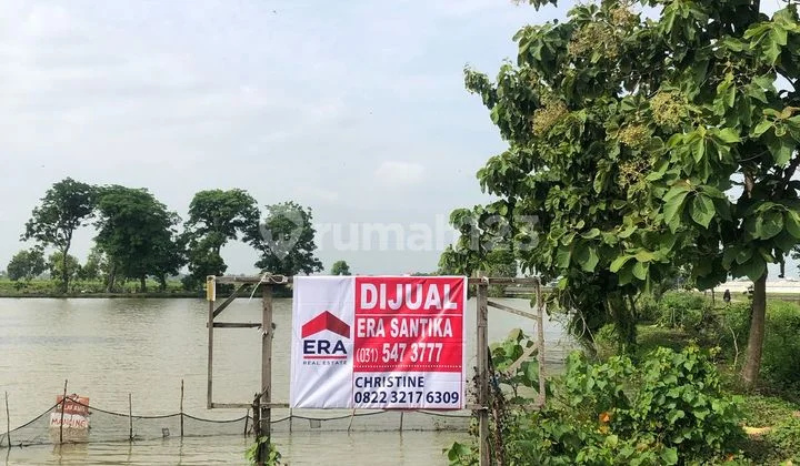 Tanah Dijual di Desa Sidomukti Lamongan SHM Murah