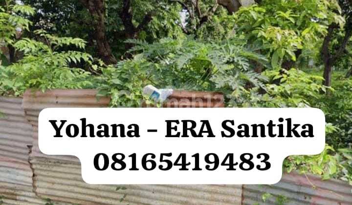 TANAH DIJUAL DI SITUBONDO LOKASI STRATEGIS