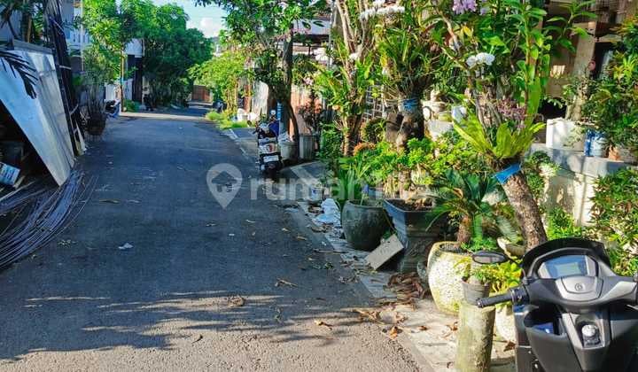 Rumah Di Area Canggu Harga Bersaing