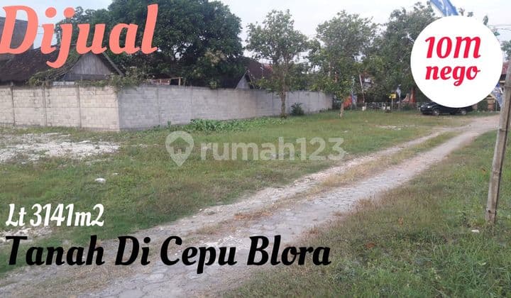 Land on MAIN ROAD IN CEPU BLORA, Premium Location.