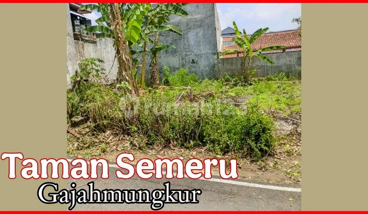 Tanah Siap Bangun Di Taman Semeru Gajah Mungkur Tanah Siap Bangun Di Taman Semeru Gajah Mungkur