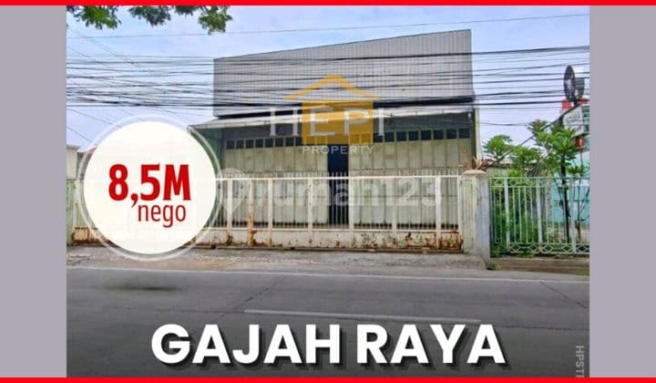 Ruko Lebar Di Jalan Gajah Siap Untuk Usaha