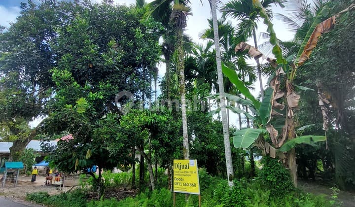 Tanah Untuk Perumahan di Jl.Talao Mundam,Nagari Ketaping