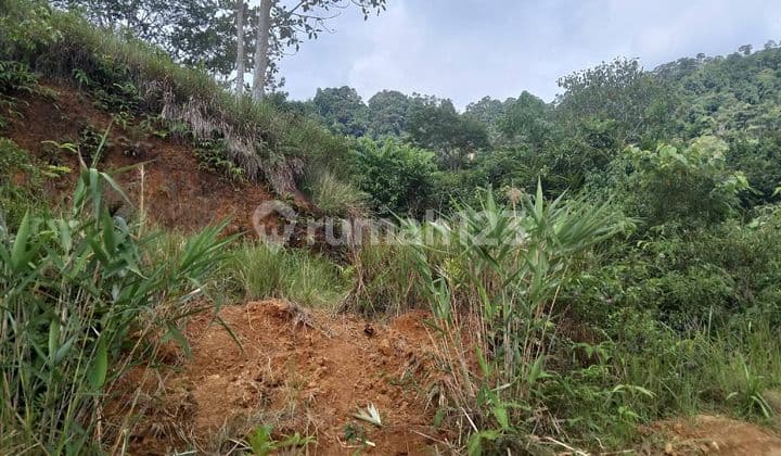 Tanah di Jalan Parak Balik,Simpang SMP 16,gang Masjid Ainul Yaqin,UIN Sungai Bangek