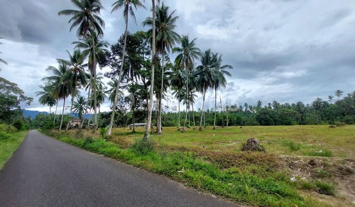 SHM Land in Sungai Geringging on Jl. Raya Lambeh, Malai III Koto, Sungai Geringging Subdistrict, Padang Pariaman Regency, West Sumatra