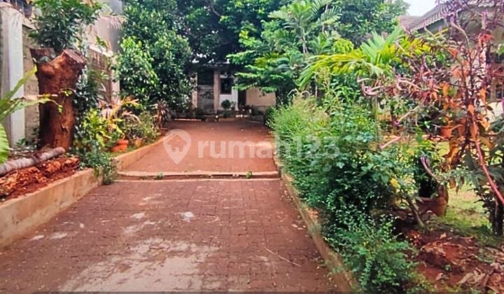 Land in a Comfortable Area in Pejaten, South Jakarta