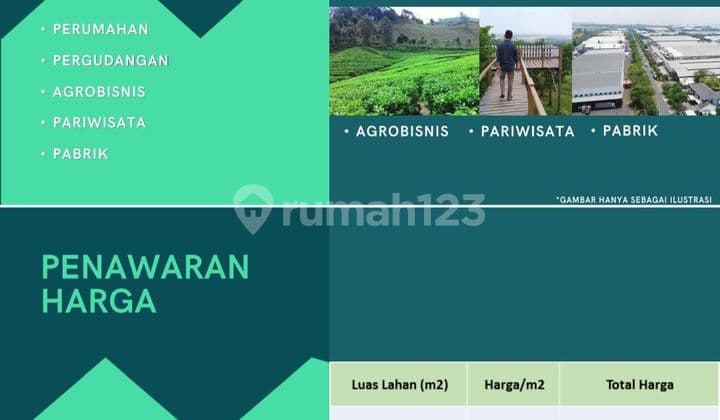 Tanah di Sidapang (Dapat Di beli sesuai kebutuhan), di Desa Sindang Mandi- Sindang Karya , Anyer, Banten