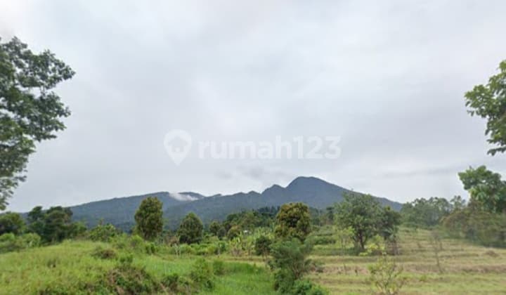 Dijual Cepat Dan Murah Tanah Di Bogor Selatan