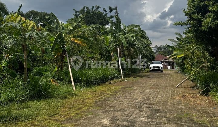 Dijual Tanah Jl Joe Jagakarsa Jakarta Selatan