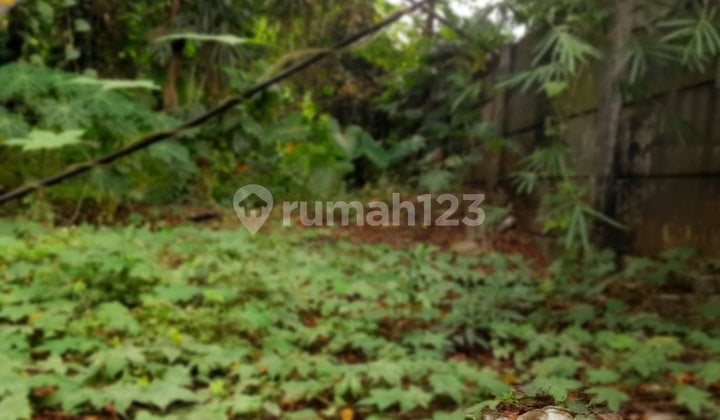 Tanah Luas Di Suradita Cisauk Tangerang Selatan