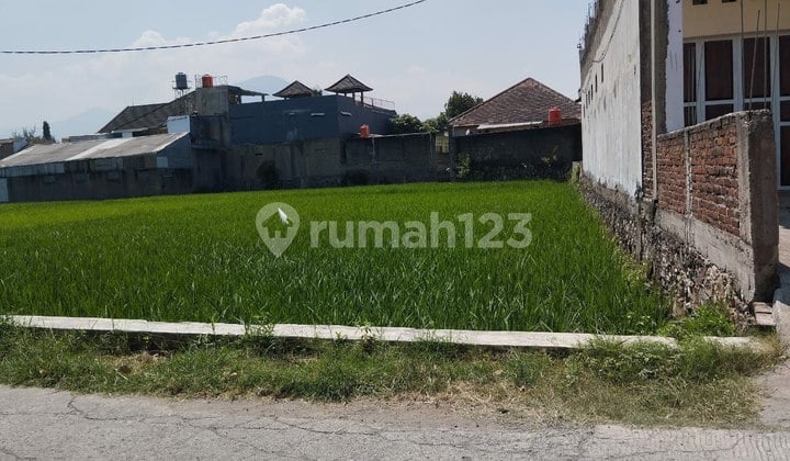 Tanah Sawah Murah Cocok Untuk Investasi Cileunyi Bandung