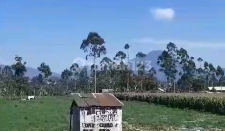 Tanah Murah Shm Cocok Untuk Investasi Pangalengan Bandung