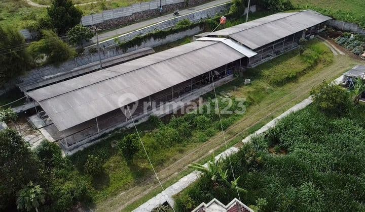 Dijual Villa Dan Peternakan Cocok Untuk Investasi Lembang Bandung