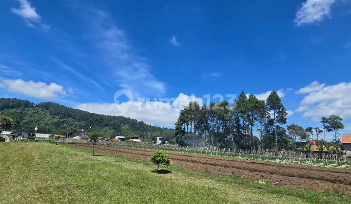 Kavling di Maribaya Cibodas Mainroad Strategis