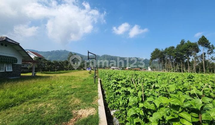 Tanah Plus Rumah Kecil di Cibodas Maribaya Lembang