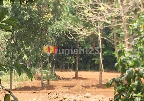 Kavling di Sekaran Raya Gunung Pati Semarang