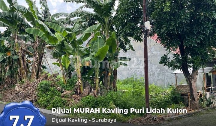 Murah, Kavling Puri Lidah Kulon Surabaya Dkt Wiyung Wbm