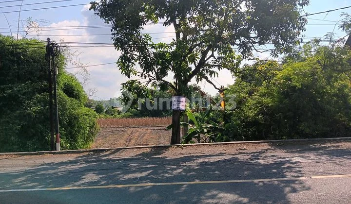 Jual Cepat , Tanah Raya Domas Dkt Menganti Gresik Kedamean Jual Cepat , Tanah Raya Domas Dkt Menganti Gresik Kedamean