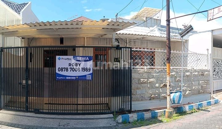Disewakan Rumah Simpang Darmo Permai Selatan Sdps Siap Huni