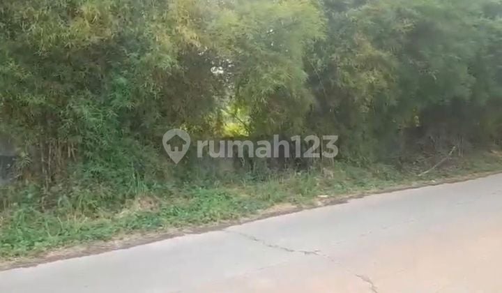 Dijual Tanah Cocok untuk Pergudangan Lokasi Cisauk Tangerang