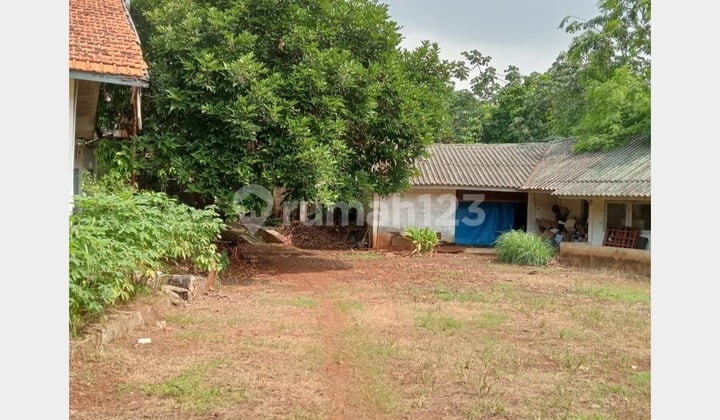 Dijual Cepat Hitung Tanah Luas Jl Nimun Raya Tanah Kusir