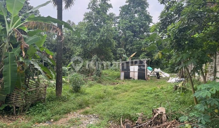 Dijual Cepat Murah Lahan Luas Gunung Sindur