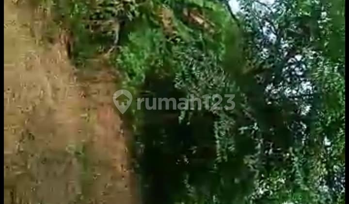 Tanah perkebunan / perumahan siap bangun