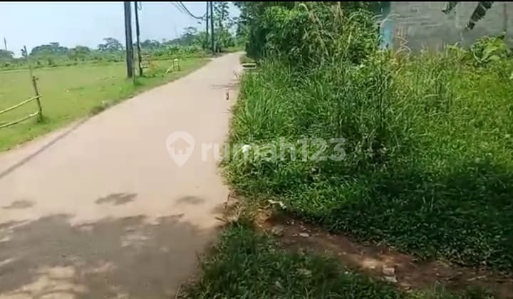 Tanah datar,strategis ,lokasi rame penduduk.