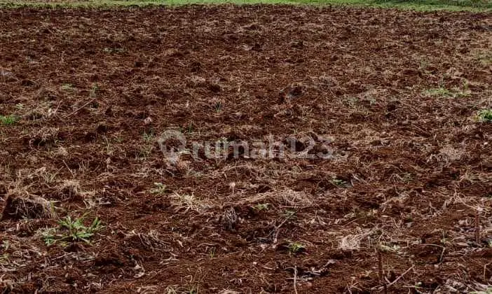 Dijual lahan kosong,lokasi strategis nempel jalan kanling
