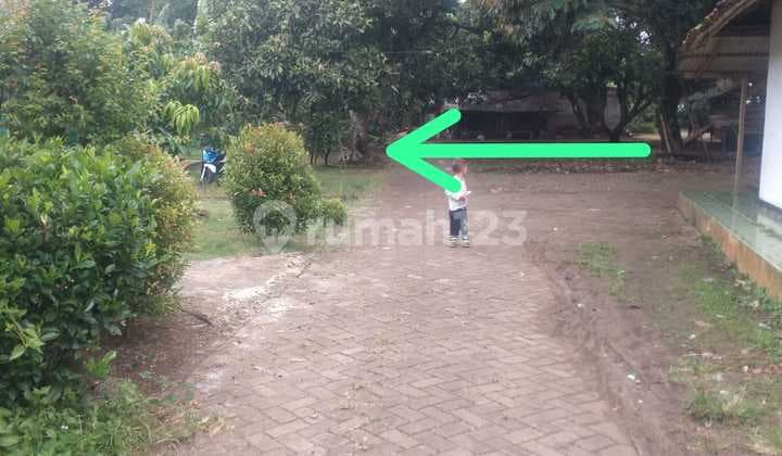 Tanah dilingkungan asri nempel jalan desa